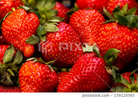Close-up of a bountiful harvest of fresh, ripe red strawberries in Taiwan 139120565