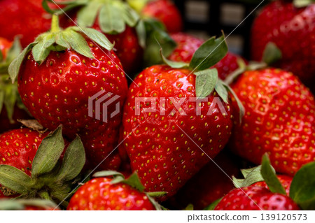 Close-up of a bountiful harvest of fresh, ripe red strawberries in Taiwan 139120573