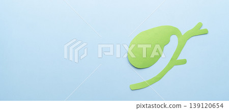 Gallbladder anatomy made from paper on blue background. Gallbladder anatomy made from paper on blue background. 139120654