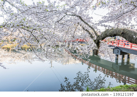 Hirosaki Castle Cherry Blossom Festival 2026 Hirosaki Castle Cherry Blossom Festival 2026 139121197