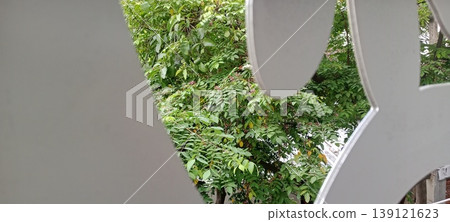View of green foliage through decorative laser cut panel with abstract pattern 139121623