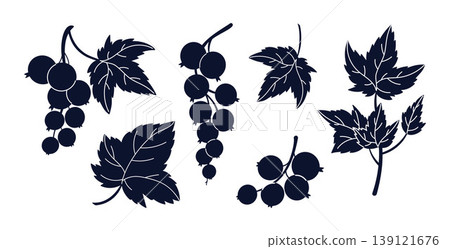 Black Currant Elements with White Veins. Botanical Set of Detailed Berry Branches and Leaves. Isolated hand-drawn. Vector Illustration 139121676