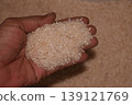 Rice grain in hands, isolated on a blur background. 139121769