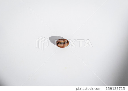 A single roasted coffee bean on a textured light fabric like sackcloth 139122715