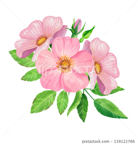Wildflower roses with green leaves and closed buds, isolated watercolor composition. Hand drawn lush rosehip foliage. Fresh plants for label and packaging design for tea, oils, and cosmetics. Wildflower roses with green leaves and closed buds, isolated watercolor composition. Hand drawn lush rosehip foliage. Fresh plants for label and packaging design for tea, oils, and cosmetics. 139122766