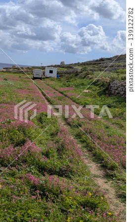 Rural Maltese countryside with vibrant pink wildflower fields alongside dirt track, white caravan parked on hillside, dramatic cloudy sky above Rural Maltese countryside with vibrant pink wildflower fields alongside dirt track, white caravan parked on hillside, dramatic cloudy sky above 139122782