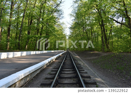 Railroad track, railway and pyron in the spring forest 139122912