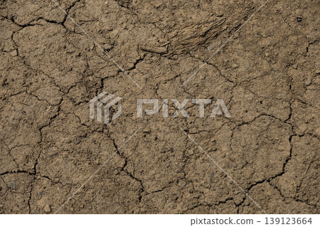 Parched brown earth with deep cracks Parched brown earth with deep cracks 139123664