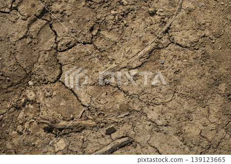 Detailed View of Dry Cracked Earth Surface Detailed View of Dry Cracked Earth Surface 139123665