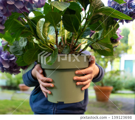 A close up of a child's hands holding a flower pot with a plant A close up of a child's hands holding a flower pot with a plant 139123698