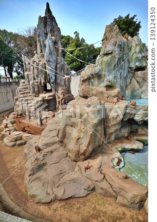 Monkey Mountain at Tobu Zoo - Akage 365 Monkey Mountain at Tobu Zoo - Akage 365 139124350