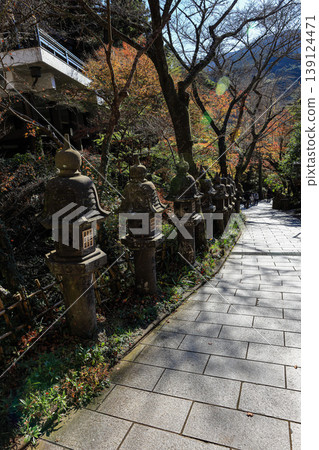 Japanese stone lantern in the garden. pedestrian path along the tree in garden during autumn. 139124471