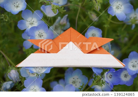 A landscape of nemophila and samurai helmets A landscape of nemophila and samurai helmets 139124865