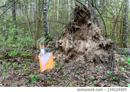 Orienteering control point with orange and white flag 139124905