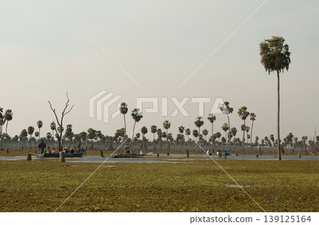 Tourists observing nature in La Estrella Marsh, Formosa province, Argentina. 139125164