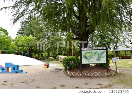 Mie Prefecture: Kameyama Castle Ruins, Kameyama Park (Masumijidoen), and the fresh greenery. 139125795