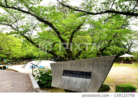 Mie Prefecture: Kameyama Castle Ruins, Kameyama Park (Masumijidoen), and the fresh greenery. Mie Prefecture: Kameyama Castle Ruins, Kameyama Park (Masumijidoen), and the fresh greenery. 139125798