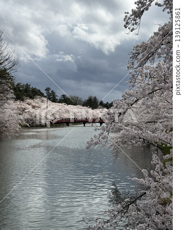 弘前公園的櫻花 弘前公園的櫻花 139125861