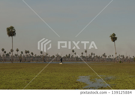 Tourists observing nature in La Estrella Marsh, Formosa province, Argentina. Tourists observing nature in La Estrella Marsh, Formosa province, Argentina. 139125884