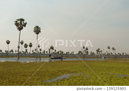 Tourists observing nature in La Estrella Marsh, Formosa province, Argentina. Tourists observing nature in La Estrella Marsh, Formosa province, Argentina. 139125903