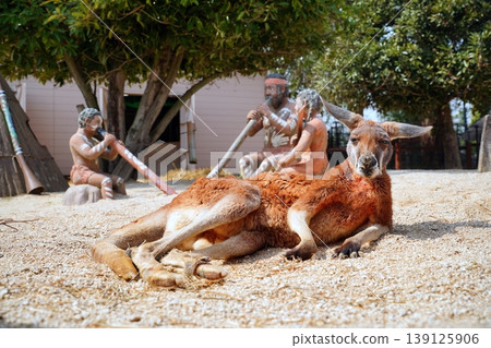 Red kangaroo 139125906