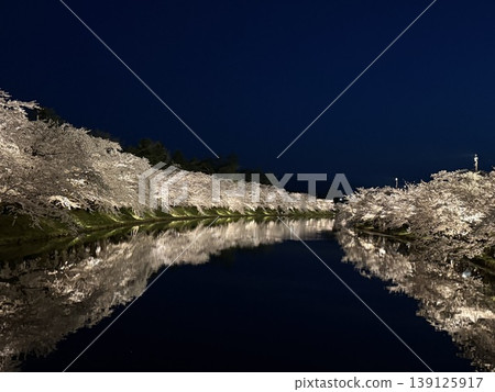 Night light up at Hirosaki Park 139125917