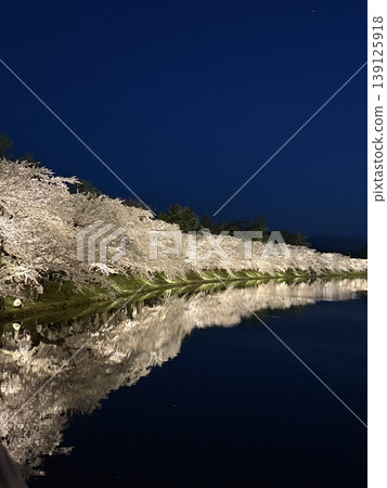 弘前公園的夜景 弘前公園的夜景 139125918