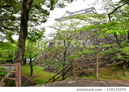 三重縣:龜山城遺址的多門楣(多層塔樓)、石牆和鬱鬱蔥蔥的綠植。 三重縣:龜山城遺址的多門楣(多層塔樓)、石牆和鬱鬱蔥蔥的綠植。 139125979