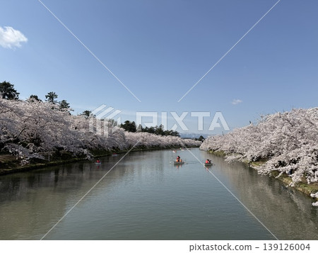 弘前公園的櫻花 弘前公園的櫻花 139126004
