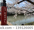順葉橋和櫻花 139126005