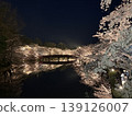 弘前公園的夜晚櫻花 139126007