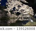 弘前公園的夜晚櫻花 139126008
