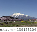 磐山、櫻花和油菜花，構成了一幅美麗的畫卷。 139126104