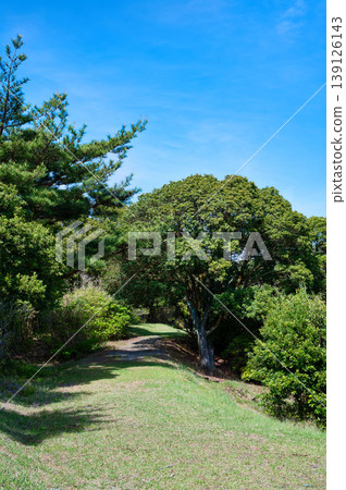 A mountain park surrounded by nature on a sunny day A mountain park surrounded by nature on a sunny day 139126143