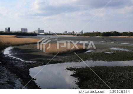 Yatsu tidal flat at low tide Yatsu tidal flat at low tide 139126324
