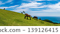 Toi Cape - A paradise for wild horses with breathtaking views of the Hyuga Sea 139126415