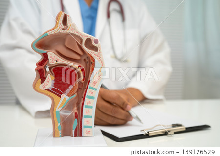 Asian doctor with nasal oral throat cavity neck human anatomy model for study diagnosis and treatment in hospital. 139126529