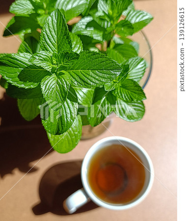 Fresh Mint Leaves and Herbal Tea in Sunlight on Wooden Table Top View Fresh Mint Leaves and Herbal Tea in Sunlight on Wooden Table Top View 139126615