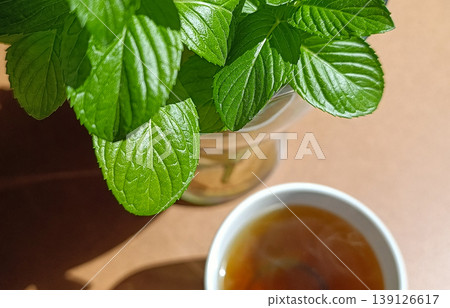 Fresh Mint and Cup of Herbal Tea on Wooden Table in Bright Sunlight Fresh Mint and Cup of Herbal Tea on Wooden Table in Bright Sunlight 139126617
