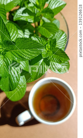 Fresh Mint Leaves and Herbal Tea in Sunlight on Wooden Table Top View Fresh Mint Leaves and Herbal Tea in Sunlight on Wooden Table Top View 139126618