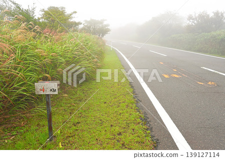 Izu Peninsula: Dense fog on the West Izu Skyline and the Izu mountain ridge trail. 139127114