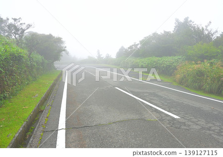Izu Peninsula: Dense fog on the West Izu Skyline and the Izu mountain ridge trail. 139127115