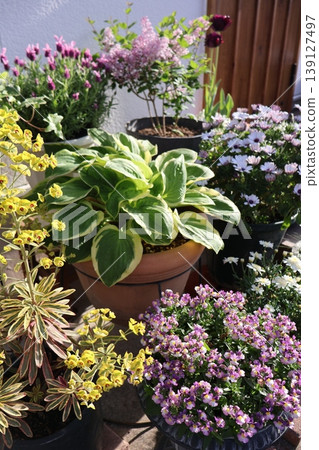 Flower pots in front of the entrance Flower pots in front of the entrance 139127497