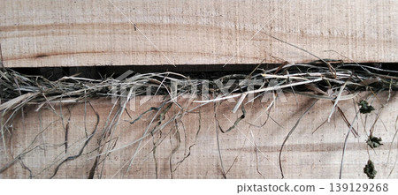 Dry Grass in the Gap Between Wooden Planks with Natural Texture Dry Grass in the Gap Between Wooden Planks with Natural Texture 139129268