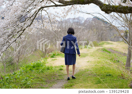 The back view of a woman in a suit walking with her head bowed beneath the cherry blossoms. The back view of a woman in a suit walking with her head bowed beneath the cherry blossoms. 139129428