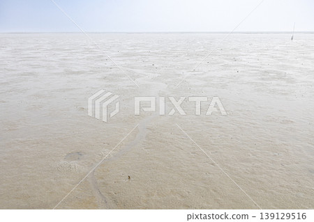 有明海廣闊的潮灘和地平線的壯麗景色。 139129516