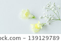 Natural yellow fresh flower background frame with copy space and white background. 139129789