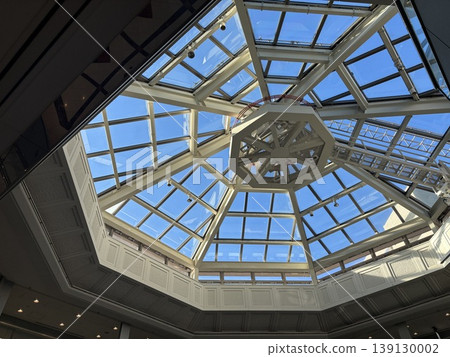 Large skylight Large skylight 139130002