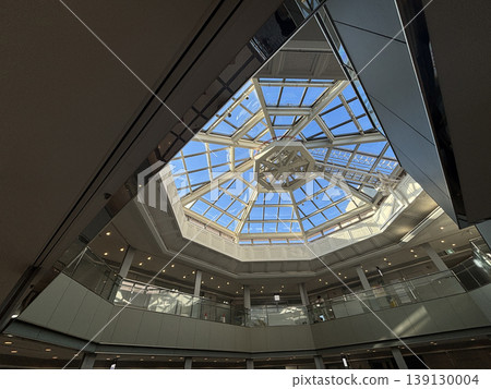 Large skylight Large skylight 139130004