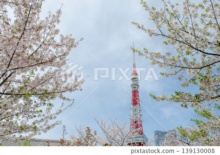 櫻花盛開,東京鐵塔聳立:美麗的春日景色。 櫻花盛開,東京鐵塔聳立:美麗的春日景色。 139130008